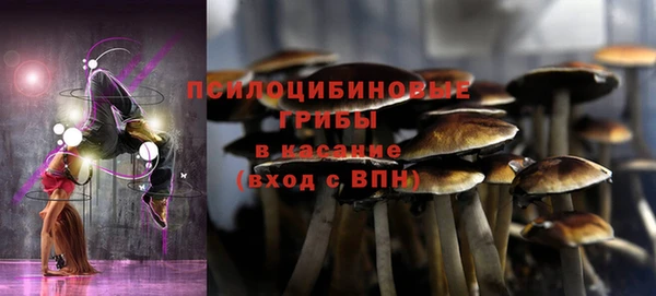эйфоретик Михайловск