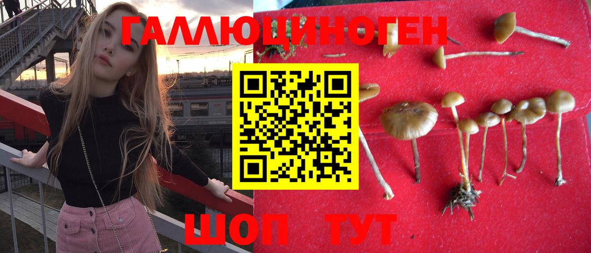 Галлюциногенные грибы мухоморы Лабинск